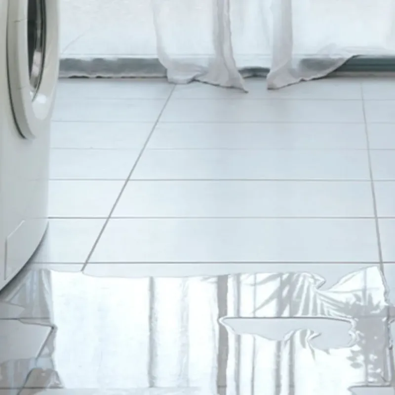 Appliance Leak Cleanup in Lexington, MO