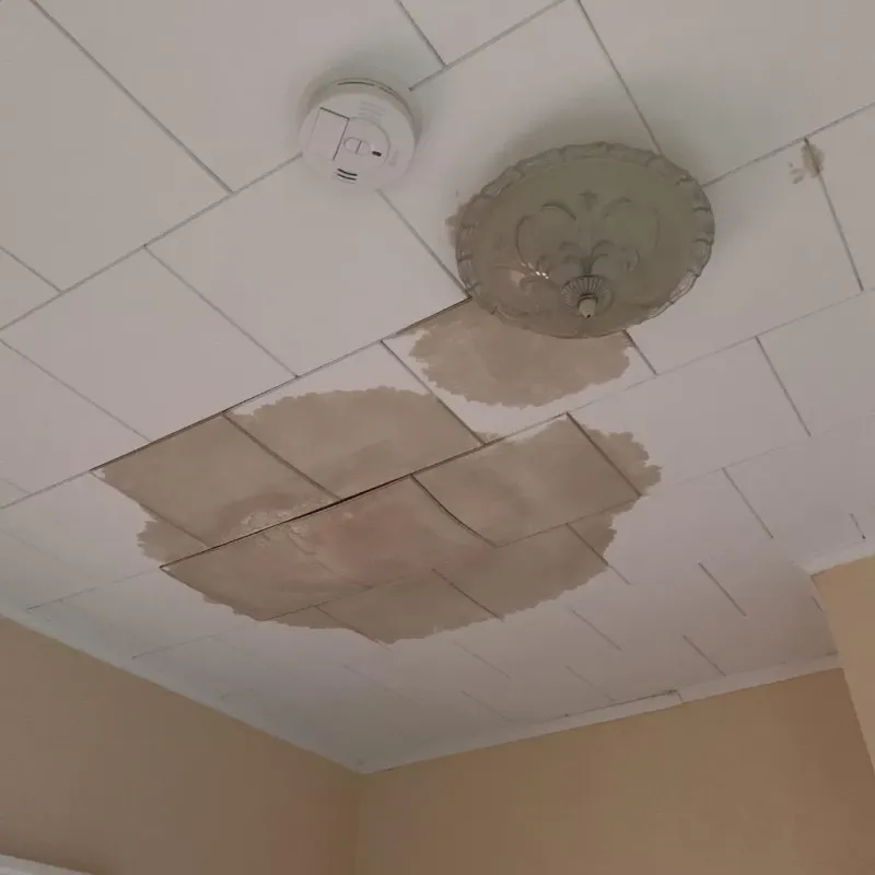 Ceiling Water Damage Repair in Lexington, MO