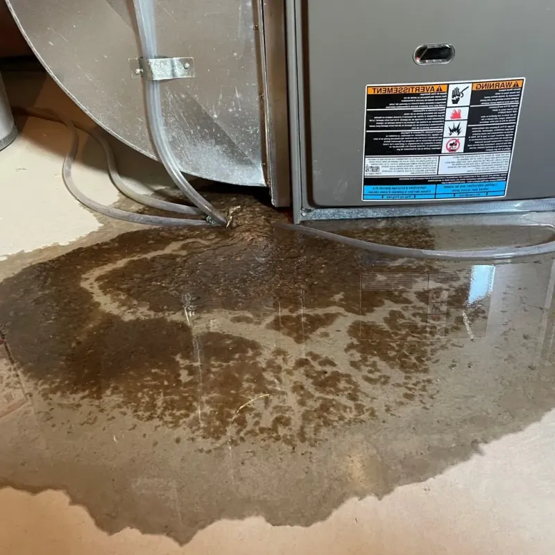 Pipe Burst and Leak Restoration in Lexington, MO
