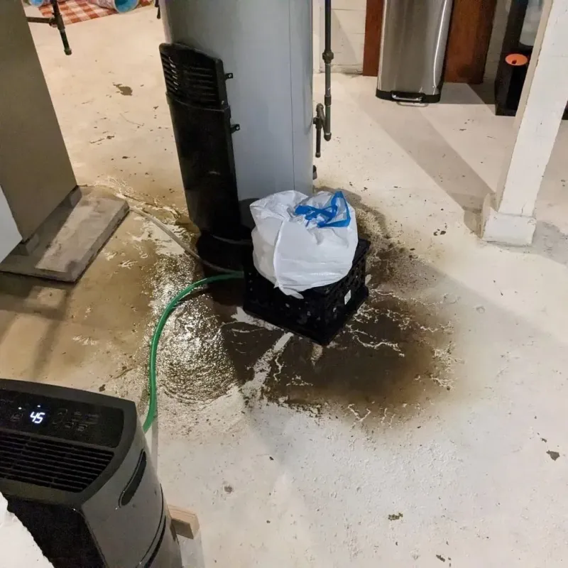 Sewage Backup Cleanup Service in Lexington, MO